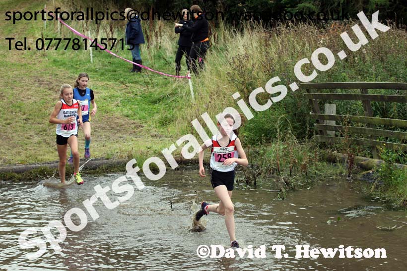 Girls under-13s, Start Fitness North Eastern Harrier League, Tanfield, County Durham. Photo: David T. Hewitson/Sports for All Pics